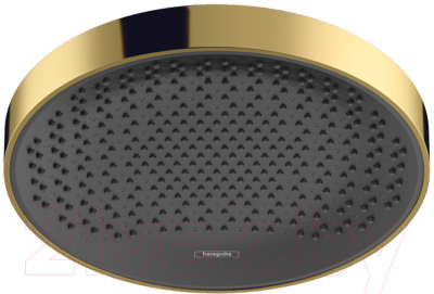 

Лейка верхнего душа Hansgrohe, Rainfinity 360 26231990