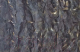 Маскировочная сеть AVI-Outdoor Camo Woodland 925 - 