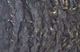 Маскировочная сеть AVI-Outdoor Camo Woodland 926 - 