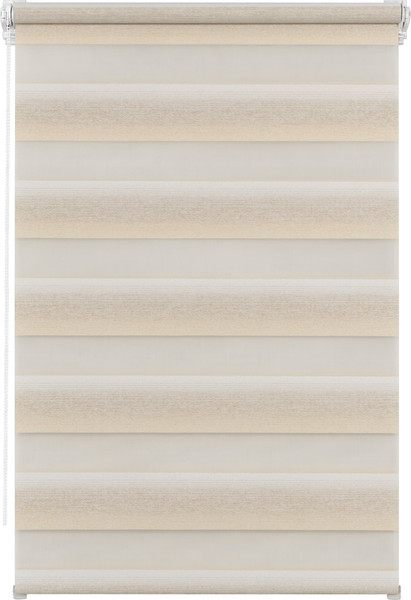 Рулонная штора Lm Decor Дабл ДН LB 55-01 100x160