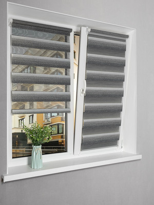 Рулонная штора Lm Decor Дабл ДН LB 55-04 48x160 (серый) - 