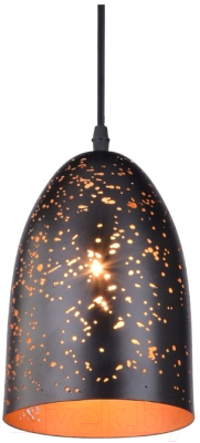 

Потолочный светильник Arte Lamp, Buchino A1615SP-1BK
