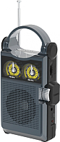 

Радиоприемник Ritmix, RPR-333