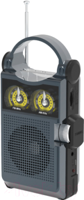Радиоприемник Ritmix RPR-333 (черный)