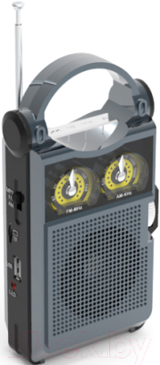 Радиоприемник Ritmix RPR-333 (черный)