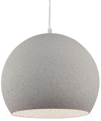 

Потолочный светильник Arte Lamp, Intonaco A1830SP-1GY