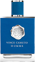 Туалетная вода Vince Camuto Homme (100мл) - 