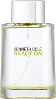 Туалетная вода Kenneth Cole Reaction (100мл) - 
