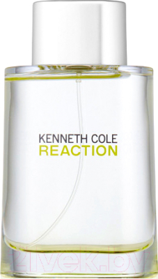 Туалетная вода Kenneth Cole Reaction (100мл)