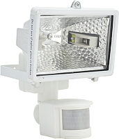 

Прожектор ETP, RFG-005 150W / 33507