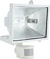 

Прожектор ETP, RFG-005 500W / 33509