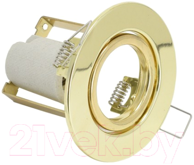 Точечный светильник ETP R 39Т (золото)