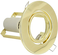 Точечный светильник ETP R 50Т (золото) - 
