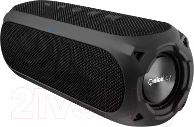 

Портативная колонка Niceboy, Raze 3 Radion