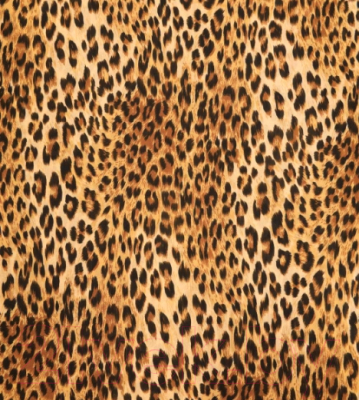 Мешок для обуви JoyArty Классический леопард / bpa_14069