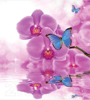 Мешок для обуви JoyArty Бабочка на орхидее / bpa_11023
