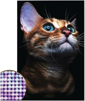 Набор алмазной вышивки Школа талантов Взгляд кошки / 4176754 - 