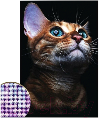 Набор алмазной вышивки Школа талантов Взгляд кошки / 4176754