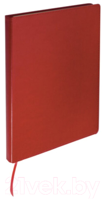 Записная книжка Brauberg Income / 125205 (красный)