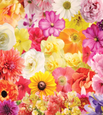 Сумка-шоппер JoyArty Коллекция цветов / bstl_12327