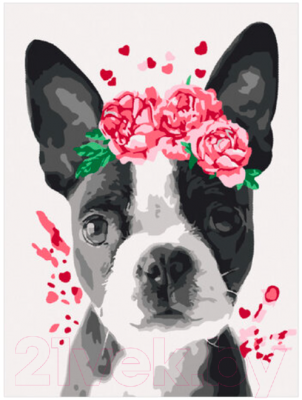 Картина по номерам Юнландия Милая собачка с акриловыми красками / 662508