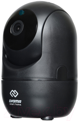 IP-камера Digma DiVision DV201 (черный)