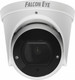 IP-камера Falcon Eye FE-IPC-DV2-40PA - 