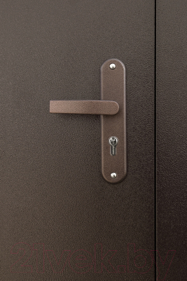 Входная дверь Промет Спец Pro BMD венге/антик медь (86x206, левая)