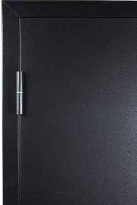 Входная дверь Промет Спец Pro 2 86x206 (левая, венге/антик серебряный)