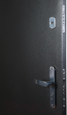 Дверь входная Промет Спец Pro 2 86x206 (правая, венге/антик серебряный)