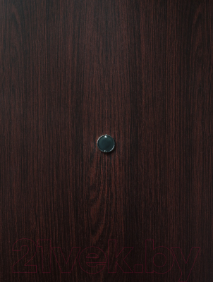 Входная дверь Промет Спец Pro 2 96x206 (левая, венге/антик серебряный)