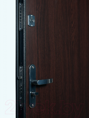 Входная дверь Промет Спец Pro 2 96x206 (левая, венге/антик серебряный)