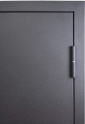 Входная дверь Промет Марс 6 86x205 (левая, Mocco ПФ-022/шале графит)