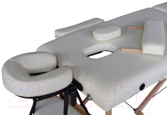 Массажный стол DFC Nirvana Optima / TS20110S-C