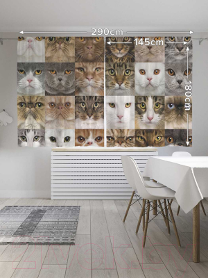 Изображение товара Комплект штор JoyArty Кошачьи лица / p_9656 (145x180)
