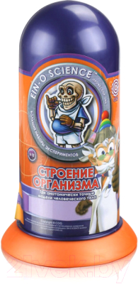 

Набор для опытов Нескучные игры, Профессор Эйн. Строение организма / E2594N