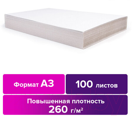 Набор белого картона Brauberg Для подшивки документов / 124876 (100л) — фото 3