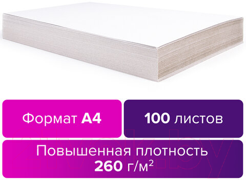 Набор белого картона Brauberg Для подшивки документов / 124877 (100л) — фото 2