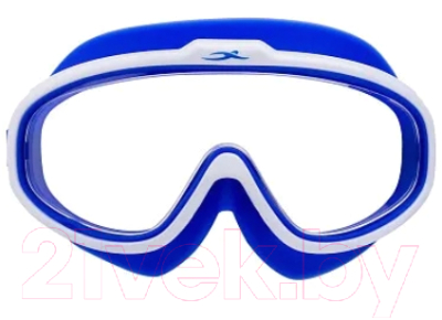 Очки для плавания 25DEGREES Vision / 25D21020 (синий)