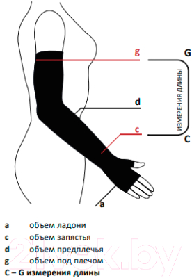 Рукав компрессионный Aries Avicenum 360 с перчаткой / 8001 (S, normal)