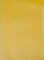 

Папка-уголок Durable, 219704