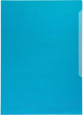 

Папка-уголок Durable, 219707