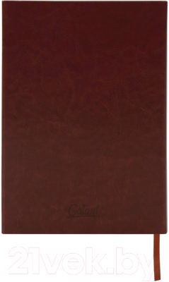 Ежедневник Galant Magnetic / 111880 (коричневый)
