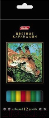 

Набор цветных карандашей Hatber, Ассорти, Дикий мир / BKc-12270