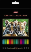 

Набор цветных карандашей Hatber, Дикий мир / BKc-18270