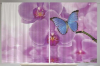 Шторы JoyArty Бабочка на орхидее / pox_11023 (145x180) - 
