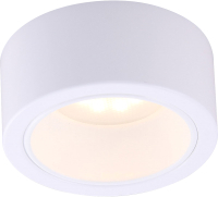 Светильник Arte Lamp Effetto A5553PL-1WH - 