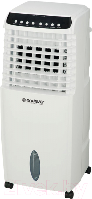 Охладитель воздуха Endever Oasis 510 (белый)