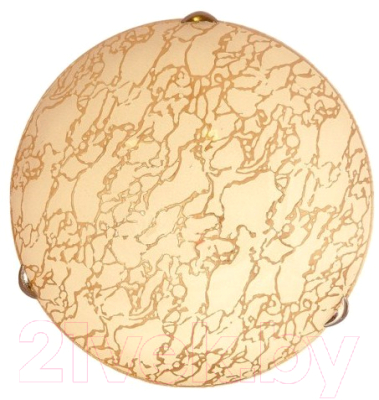 Светильник Vesta Light 24190 (золото)