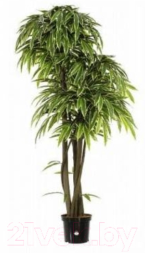 

Искусственное растение GrenTrade, Манго Стич / 12747